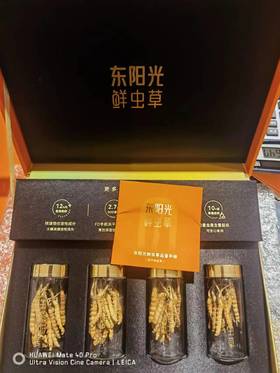 B1F 东阳光冻干鲜虫草礼盒    规格：20克
