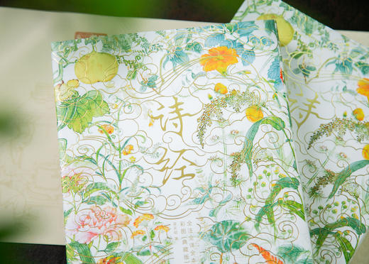 《《诗经》全注全译全本彩图：典藏版》(全2册) 商品图9