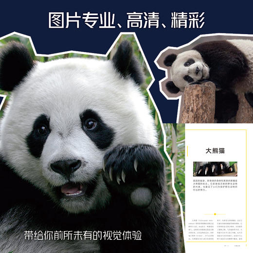 美国国家地理甄选礼盒第二辑(全4册) 商品图2