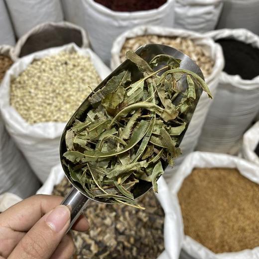 凤尾草 商品图4