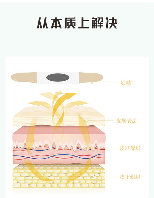 【甄选】肉桂茱萸足贴优选好料草本成分14贴/盒 商品图1