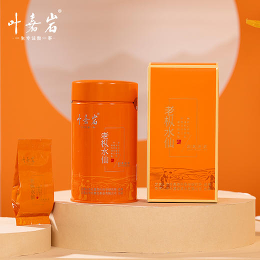 叶嘉岩·铁罐老枞水仙 商品图3