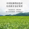 三伏天，拒绝湿寒！后辰三好艾草足贴 21对 排/调/补三合一 进阶足部调养 商品缩略图3