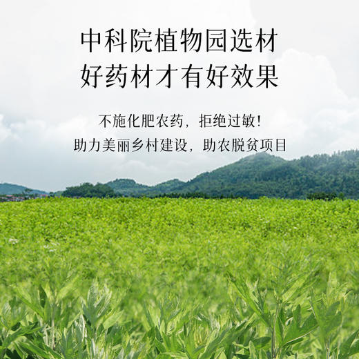 三伏天，拒绝湿寒！后辰三好艾草足贴 21对 排/调/补三合一 进阶足部调养 商品图3