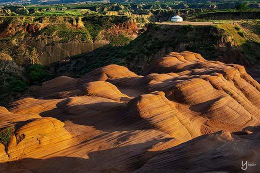 腾格里沙漠粉红湖、定边万亩荞麦花&七彩盐田、波浪谷、雨岔大峡谷、壶口瀑布8天纯玩团 商品图5