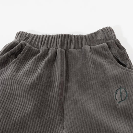 【商城同款】迪士尼童装儿童裤子秋冬男童长裤天鹅绒保暖宝宝休闲裤ZD3DK019 商品图7