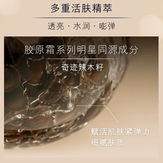 美国  Estee Lauder雅诗兰黛 智妍紧致弹润胶原精华爽肤水 200ml 商品图3
