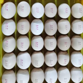 【7.9元2斤】散称苞米香鸡蛋（0900139）