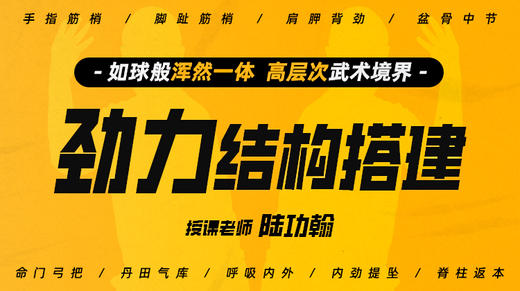 【劲力结构搭建】自学课程 商品图0