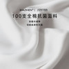 霞珍羽绒枕95%白鹅绒枕头100支全棉枕芯 单只装48*74cm 商品缩略图3