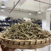 响铃草 商品缩略图1