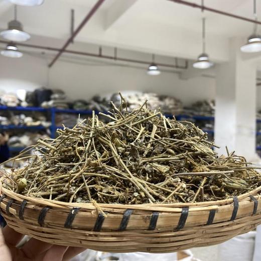 响铃草 商品图1