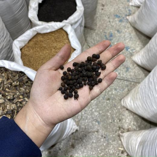 荜澄茄  1千克  木姜子  山胡椒 商品图4
