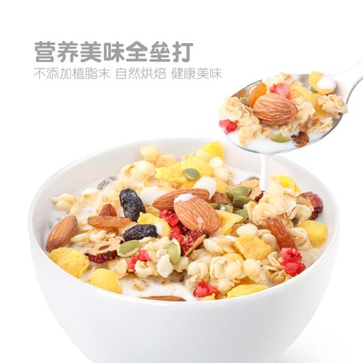 L精力沛每日胚芽谷物脆360g
(内含12小包） 商品图3