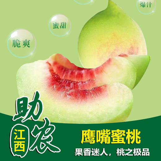 【赣南】鹰嘴蜜桃10斤 商品图0