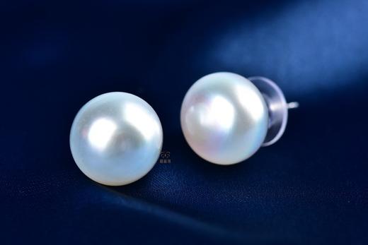 【优雅】白蝶珠耳钉3-ZZ2406079 商品图1