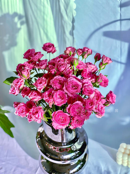 【AB级苏菲宝贝多头玫瑰.第二件减10元】5支/份.长约60-65cm 商品图4