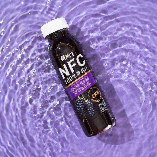 桑加1NFC100%桑葚汁290ml(6973886312281) 商品图1