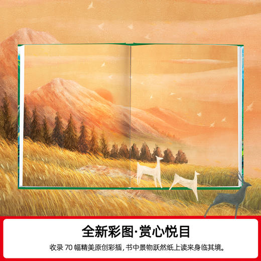 夏日走过山间 商品图2