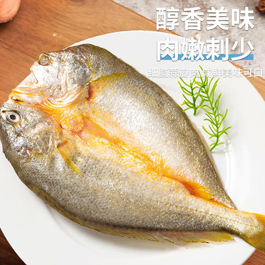 黄鱼鲞｜精品醇香黄鱼鲞  肉多刺少 |轻松烹饪175g 230g/包 商品图3