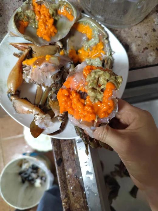 xm肥到爆炸的红膏蟹~只只都是母蟹 满膏满黄，全国活寄到家！零度以下城市-活冻发货-品质一样 商品图2