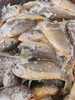 【大杂烩】牛舌头鱼1.5斤/袋/20元，海鲈鱼1.5斤/袋/15元，生赤贝肉250g/袋/28元，大头宝2斤/袋/原价59元，特大海鳗/花鳗1.3kg/袋/86元，安康鱼肚500g/袋/19元 商品缩略图7