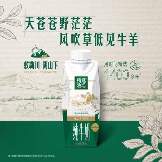 【精选牧场敕勒川限定】蒙牛精选牧场敕勒川限定全脂纯牛奶梦幻盖250ml×10包 商品图2