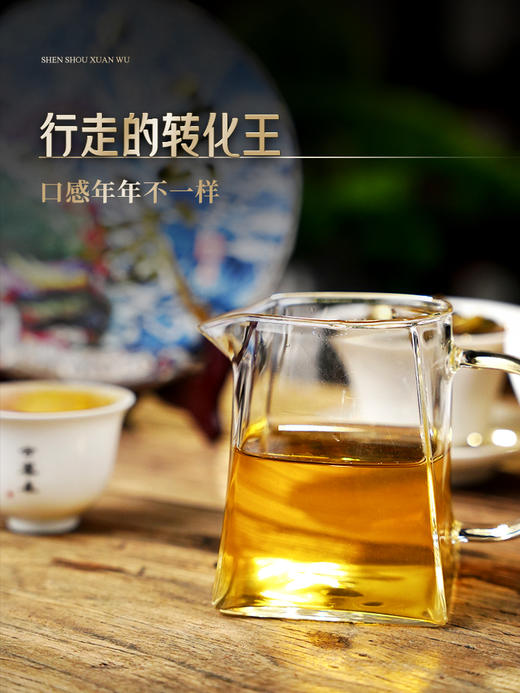 【神兽—玄武】2024年春茶 已入选易武博物馆 神兽事业部独立出品 普洱茶生茶 1箱内含5饼*357克礼盒装 拍5箱发6箱 商品图3