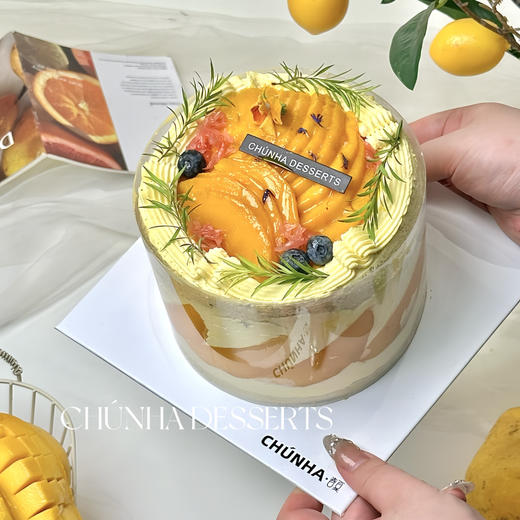 芒果岛屿 商品图5