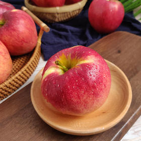 【顺丰包邮】云南红露苹果 入口清脆  4斤/9枚/12枚