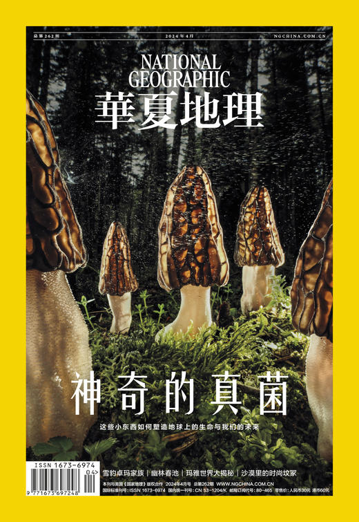 《华夏地理》杂志2024年4月刊- 神奇的真菌 雪豹卓玛家族 沙漠里的时尚坟冢 玛雅世界大揭秘 春池 商品图2