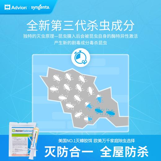 ⁴ 【美国蟑螂药家庭装】母婴宠物友好 30g/支YC04-SYSC 商品图2
