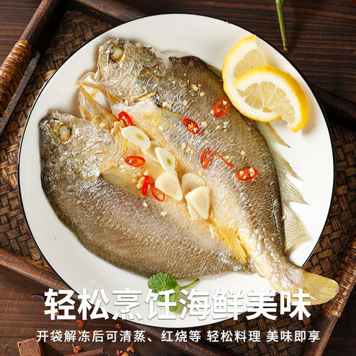 黄鱼鲞｜精品醇香黄鱼鲞  肉多刺少 |轻松烹饪175g 230g/包 商品图2