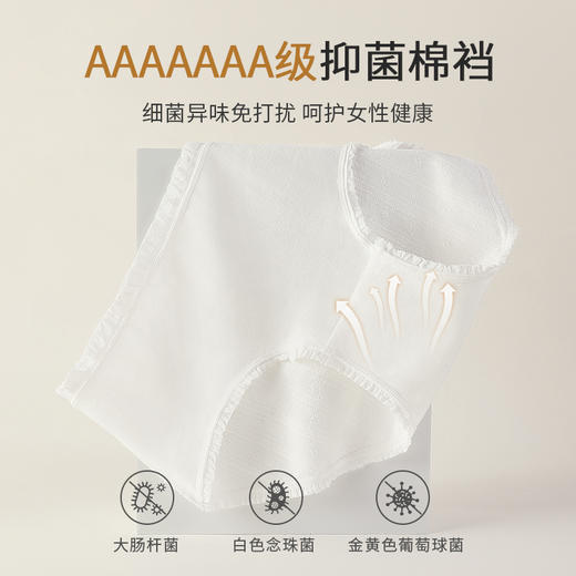 洁丽雅7A抑菌中腰纯棉女士内裤简约舒适高弹亲肤纯棉底裆内裤女 商品图9