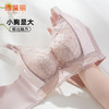 雅黛丽内衣女小胸聚拢显大性感蕾丝文胸无钢圈收副乳调整型胸罩 商品缩略图0