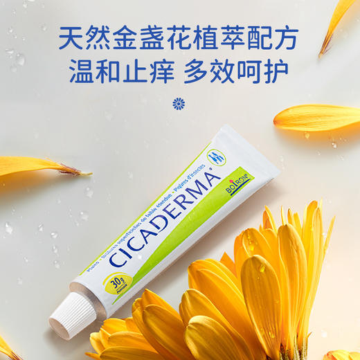 法国BOIRON宝弘金盏花蚊虫膏婴儿童宝宝蚊虫叮咬 止痒膏30g 商品图1
