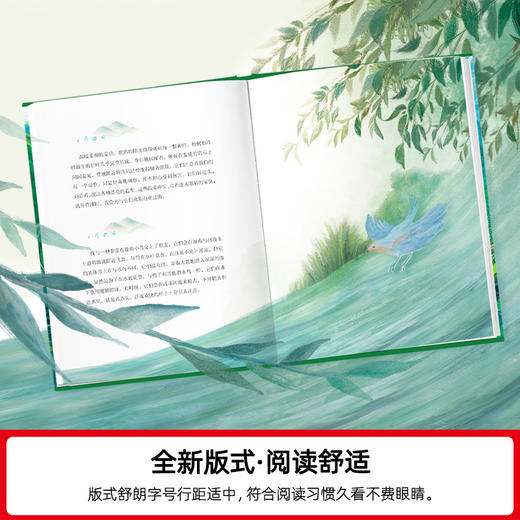 夏日走过山间 商品图3