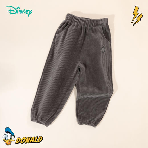 【商城同款】迪士尼童装儿童裤子秋冬男童长裤天鹅绒保暖宝宝休闲裤ZD3DK019 商品图1
