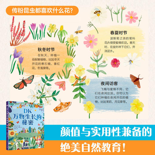 DK万物生长的秘密 商品图2