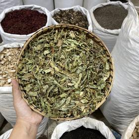 凤尾草