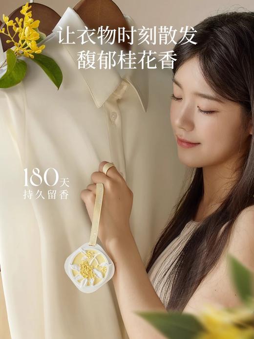 种草【第二件5.9🉐  五件💰61.5】车载家居两用「时令香牌」 商品图2