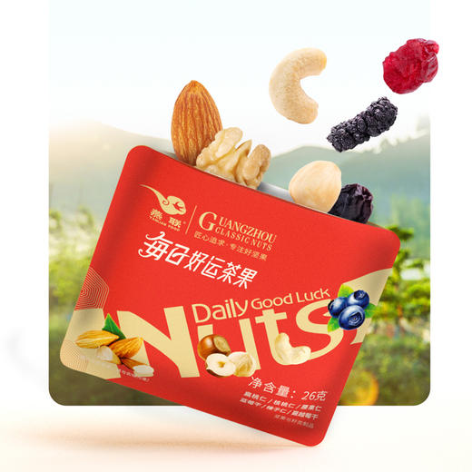 L燕联每日好运茶果（铁罐装）780g 商品图1