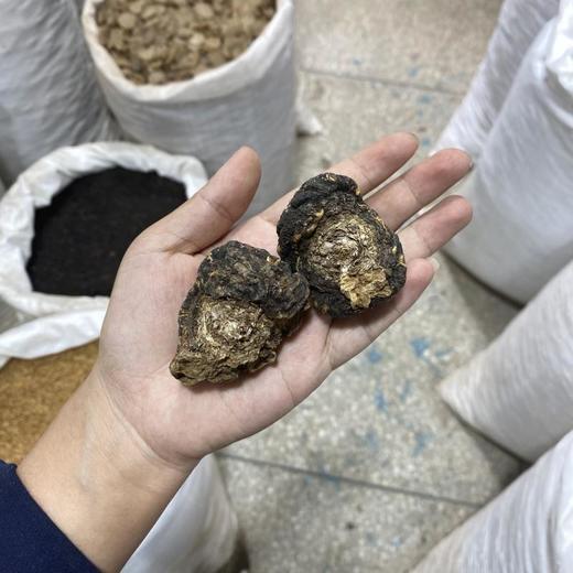 玛卡 玛咖个头干果 玛卡片 泡酒药材 云南丽江黑马卡 商品图4