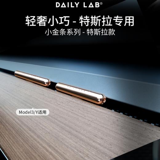 【特斯拉model 3/Y】DAILY LAB 特斯拉车载香薰出风口香氛车用香水小金条 商品图1