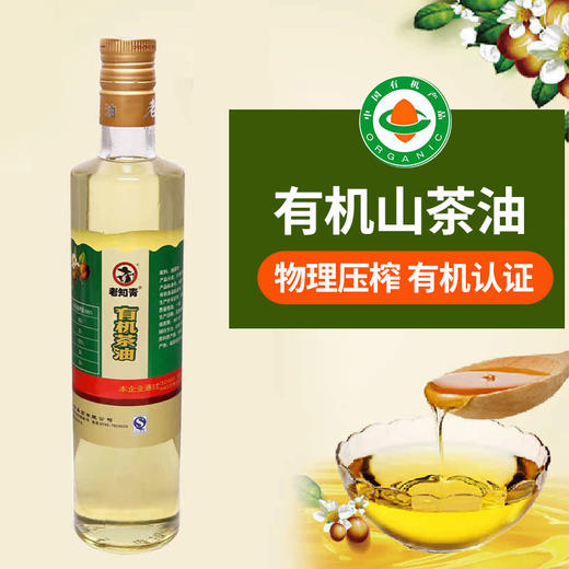 满百包邮 老知青 有机山茶油480ML/1瓶 物理压榨 商品图0