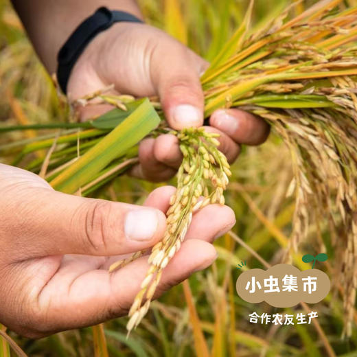 生态山楂元气饮（醪糟风味） 300g/瓶*2 | 合作农友生产，产自四川成都，生产者是：李明攀 *【公平贸易农人定价】 商品图7