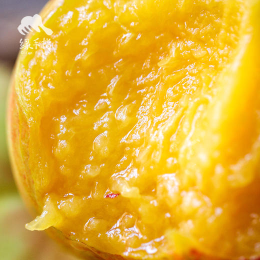 生态油蟠桃（中油蟠七） | 合作生产 *Eco-nectarine | Partner Production 商品图1
