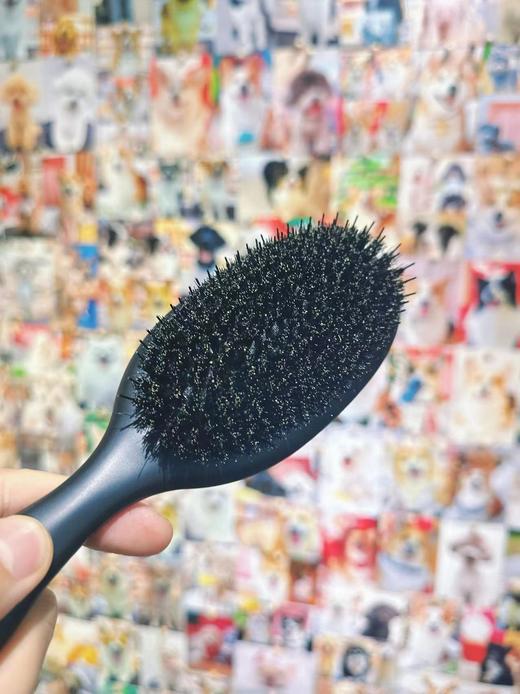 除毛梳 耙梳铜针鬃毛梳子 商品图2