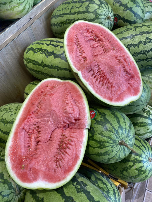 宏丰精选   石缝瓜新鲜到货口感很好，很脆，活动价1.98元一斤 商品图1