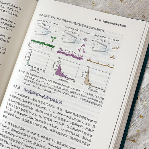 纳米孔道电化学分析 商品图7